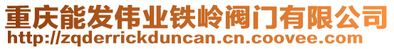 重慶能發(fā)偉業(yè)鐵嶺閥門有限公司