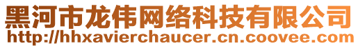 黑河市龍偉網(wǎng)絡(luò)科技有限公司