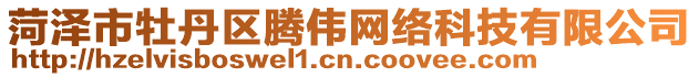 菏澤市牡丹區騰偉網絡科技有限公司