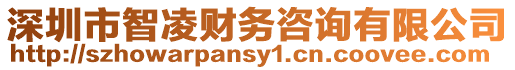 深圳市智凌財務咨詢有限公司