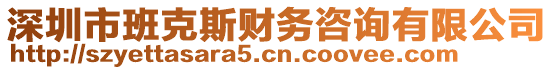 深圳市班克斯財(cái)務(wù)咨詢有限公司