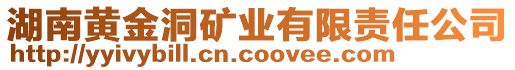 湖南黃金洞礦業(yè)有限責任公司