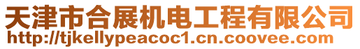 天津市合展機電工程有限公司