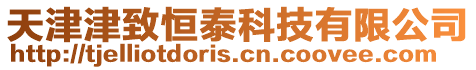 天津津致恒泰科技有限公司
