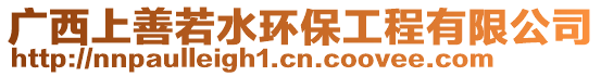 廣西上善若水環保工程有限公司