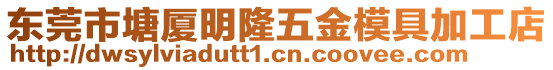 東莞市塘廈明隆五金模具加工店