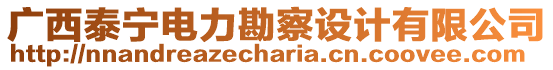廣西泰寧電力勘察設(shè)計(jì)有限公司
