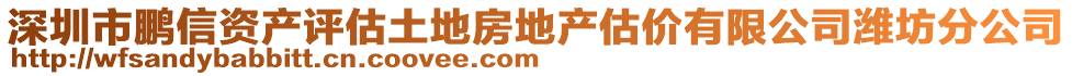 深圳市鵬信資產(chǎn)評估土地房地產(chǎn)估價有限公司濰坊分公司