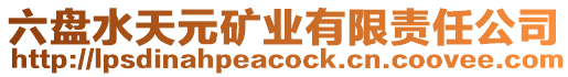 六盤水天元礦業(yè)有限責任公司