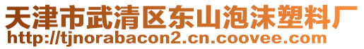 天津市武清區(qū)東山泡沫塑料廠