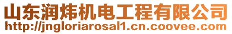 山東潤(rùn)煒機(jī)電工程有限公司