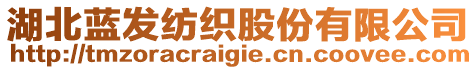 湖北藍(lán)發(fā)紡織股份有限公司