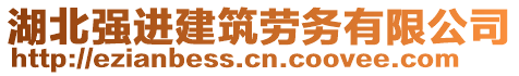 湖北強進(jìn)建筑勞務(wù)有限公司