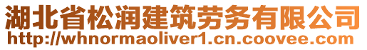 湖北省松潤建筑勞務(wù)有限公司