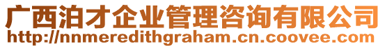 廣西泊才企業(yè)管理咨詢有限公司