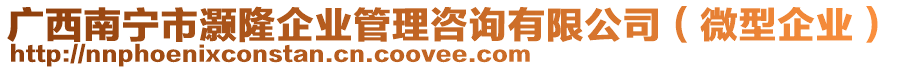 廣西南寧市灝隆企業管理咨詢有限公司(微型企業)
