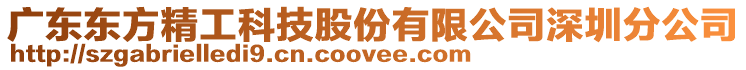 廣東東方精工科技股份有限公司深圳分公司