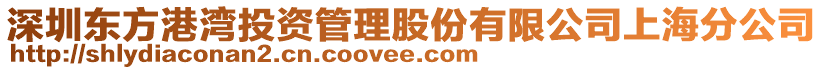 深圳東方港灣投資管理股份有限公司上海分公司