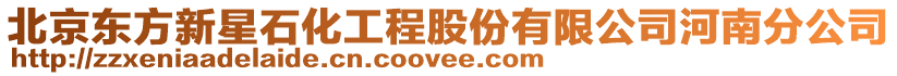 北京東方新星石化工程股份有限公司河南分公司