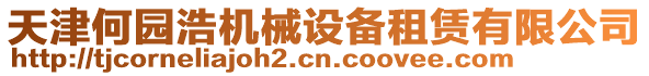 天津何園浩機械設備租賃有限公司