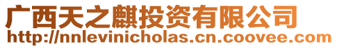 廣西天之麒投資有限公司