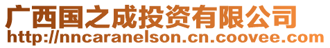 廣西國之成投資有限公司