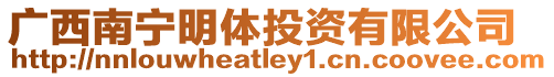 廣西南寧明體投資有限公司