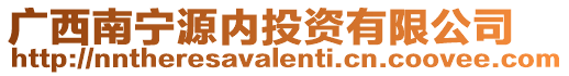 廣西南寧源內投資有限公司