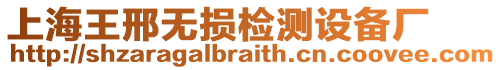 上海王邢無損檢測(cè)設(shè)備廠