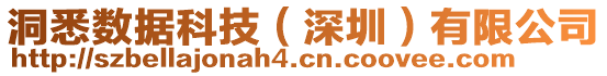 洞悉數據科技(深圳)有限公司