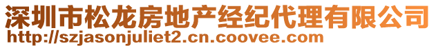 深圳市松龍房地產經紀代理有限公司