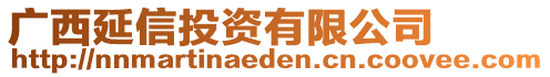 廣西延信投資有限公司