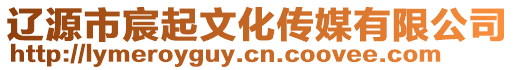 遼源市宸起文化傳媒有限公司