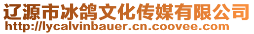 遼源市冰鴿文化傳媒有限公司