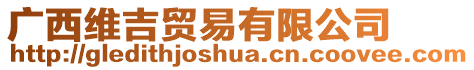 廣西維吉貿易有限公司