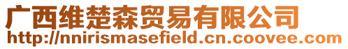 廣西維楚森貿易有限公司