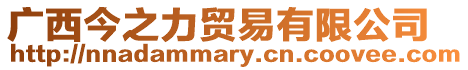 廣西今之力貿(mào)易有限公司