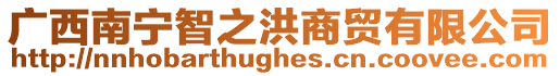 廣西南寧智之洪商貿有限公司