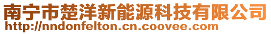 南寧市楚洋新能源科技有限公司