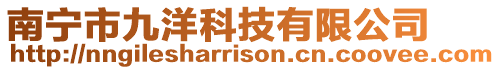 南寧市九洋科技有限公司
