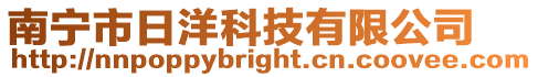 南寧市日洋科技有限公司