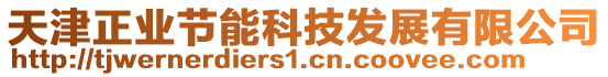 天津正業(yè)節(jié)能科技發(fā)展有限公司