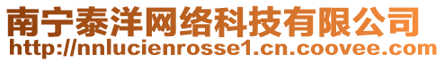 南寧泰洋網絡科技有限公司
