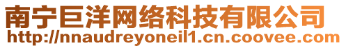南寧巨洋網絡科技有限公司