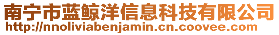 南寧市藍鯨洋信息科技有限公司