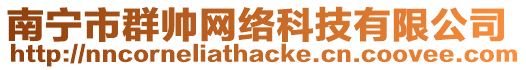 南寧市群帥網(wǎng)絡(luò)科技有限公司