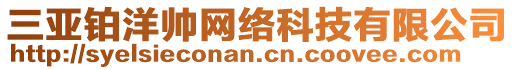 三亞鉑洋帥網絡科技有限公司