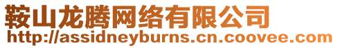 鞍山龍騰網絡有限公司