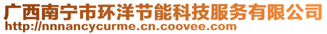 廣西南寧市環洋節能科技服務有限公司