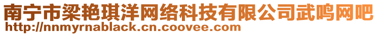 南寧市梁艷琪洋網(wǎng)絡(luò)科技有限公司武鳴網(wǎng)吧